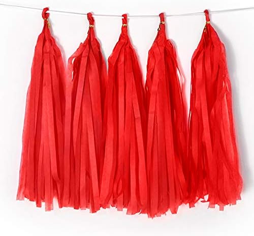 Red Tissue Paper Tassel DIY Hanging Paper Decorations Party Garland for Party Decor, Wedding, Festival, Baby Shower - 20PCS (DEEP RED 35CM)