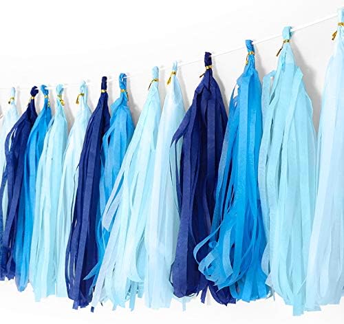 Tissue Paper Tassel DIY Hanging paper decorations Party Garland Decor for Party Decorations Wedding,Festival,Baby Shower Decoration 35c m20PCS