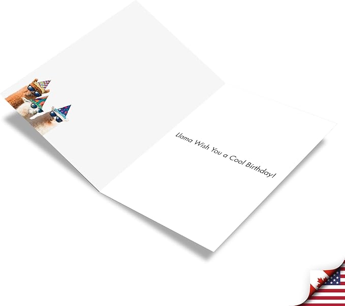 NobleWorks - 1 Happy Birthday Card with Funny Animals - Wildlife and Pet Humor, Fun Birthday Celebration Notecard - Cool Llamas C7188BDG