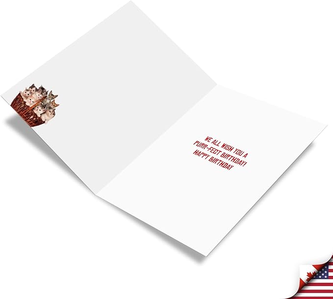 NobleWorks - Hilarious Happy Birthday Card with Envelope (8.5 x 11 Inch) - Funny Animal Greeting Card From All Of Us - From All Us Cats Birthday J5980BDG-US