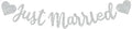BEISHIDA Silvery Just Married Banner - NO DIY, Glitter Wedding Party Banner,Just Married Signs, Bachelorette/Bridal Garland,Engagement Party Decor Supplies, Wedding Reception Party Decorations.