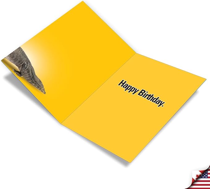 NobleWorks - 1 Jumbo Funny Card for Birthdays (8.5 x 11 Inch) - Cartoon Joke, Humor Bday Card with Envelope - Ponies for Sissies J8948