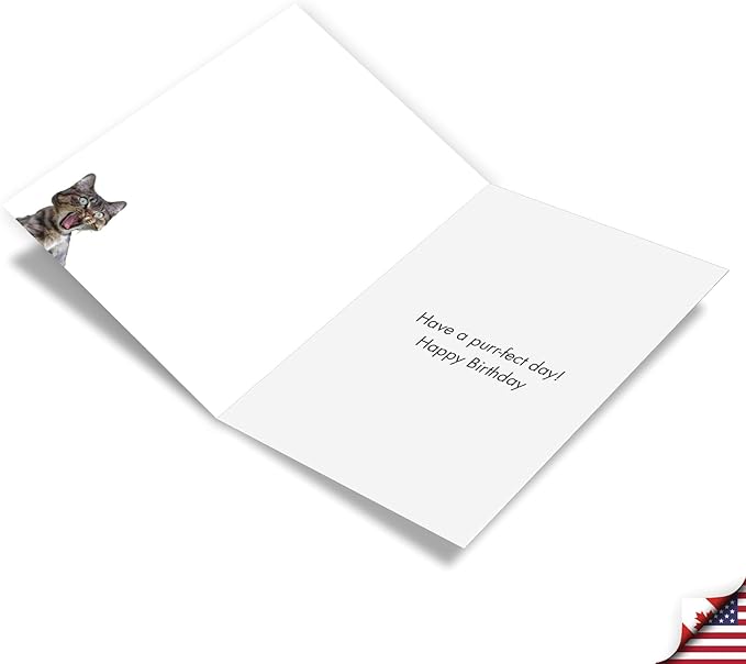 NobleWorks, Funny Birthday Greeting Card with 5 x 7 Inch Envelope (1 Card) Bday Eat What C10800BDG