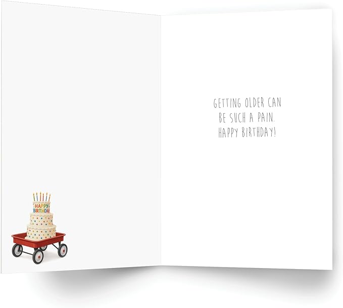 NobleWorks Funny Birthday Greeting Card with 5 x 7 Inch Envelope (1 Card) Bday Fondest Memory C11058BDG
