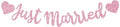 BEISHIDA Pink Just Married Banner - NO DIY, Glitter Wedding Party Banner,Just Married Signs, Bachelorette/Bridal Garland,Engagement Party Decor Supplies, Wedding Reception Party Decorations.