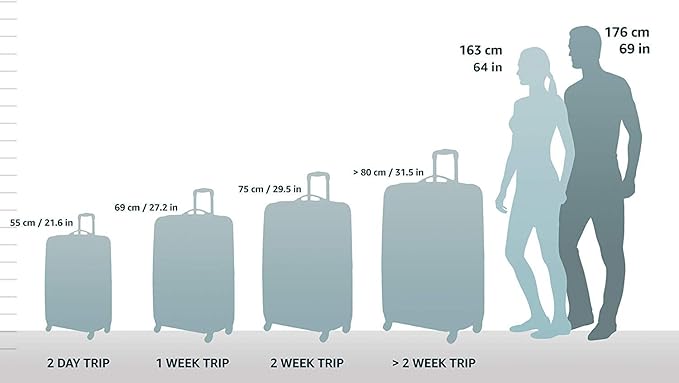 Rockland London Hardside Spinner Wheel Luggage, Black, Carry-On 20-Inch