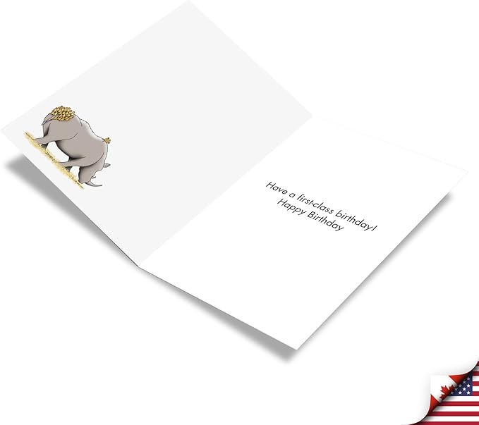 NobleWorks - 1 Hilarious Cartoon Birthday Card with Envelope - Funny Cartoons, Bday Congrats Greeting - First-Class Birds C3347BDG