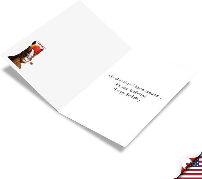 NobleWorks - 1 Happy Birthday Card with Funny Animals - Wildlife and Pet Humor, Fun Birthday Celebration Notecard - Horse Around C9304BDG