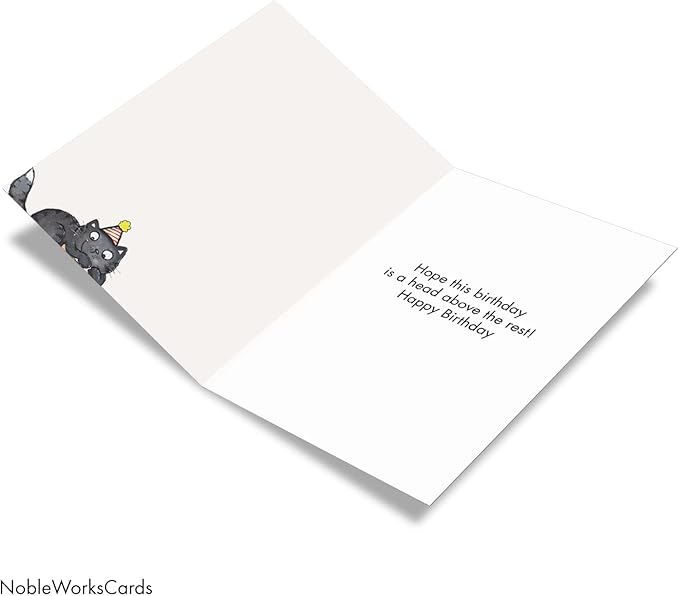 NobleWorks - 1 Awesome Birthday Greeting Card - Cartoon Art, Happy Funny Bday Note - Cat on Head C3791HBDG