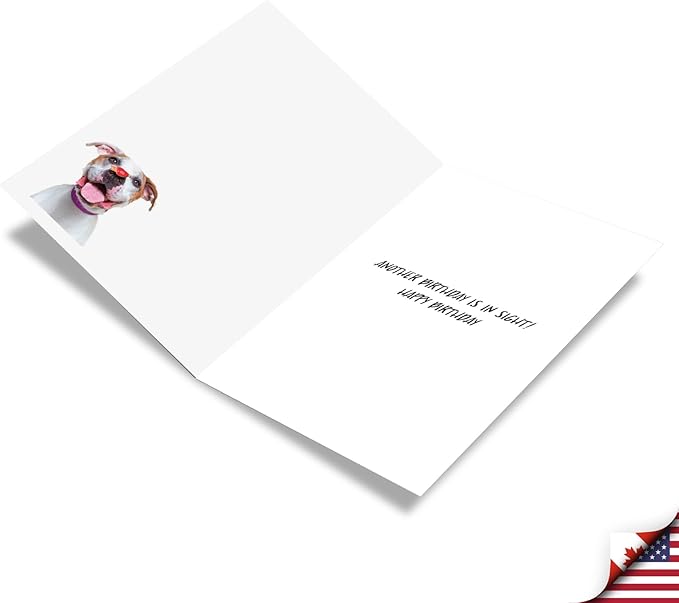 NobleWorks - Birthday Greeting Card with 5 x 7 Inch Envelope (1 Card), Fun Animal Bday Celebration - Heart Dogs C9161GBDG