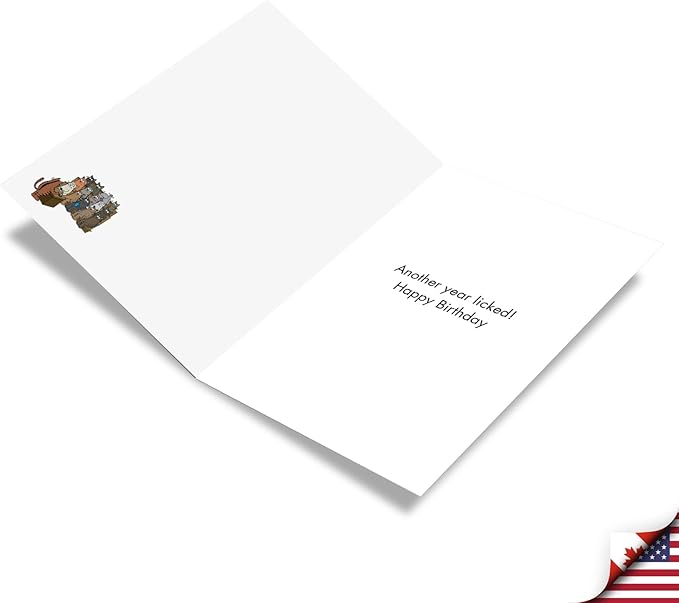 NobleWorks - 1 Funny Animal Card for Birthdays - Pet Cat and Dog Humor, Birthday Notecard with Envelope - Cat Question C3674BDG