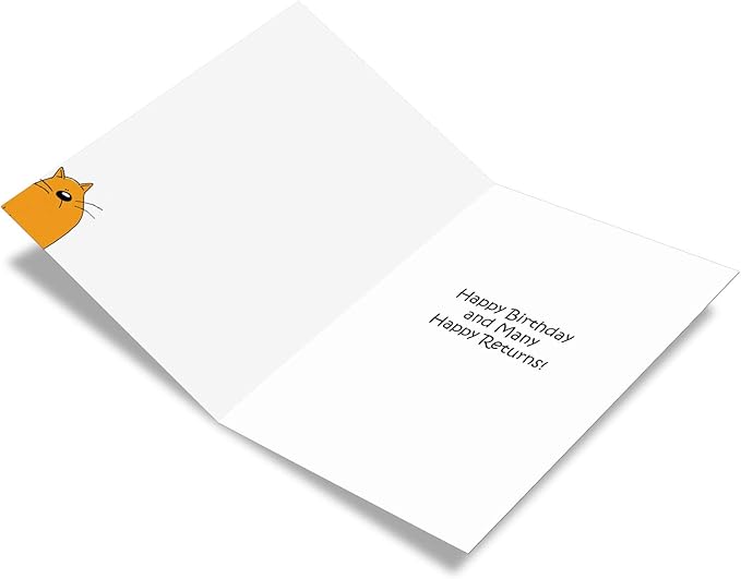 NobleWorks - 1 Hilarious Greeting Card for Birthday - Funny Birthday Cartoon, Comic Notecard - Nine Lives C4169BDG