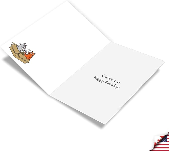NobleWorks - 1 Funny Birthday Greeting Card w/ 5 x 7 Envelope For Men, Women - Bday Cat Box C7005BDG
