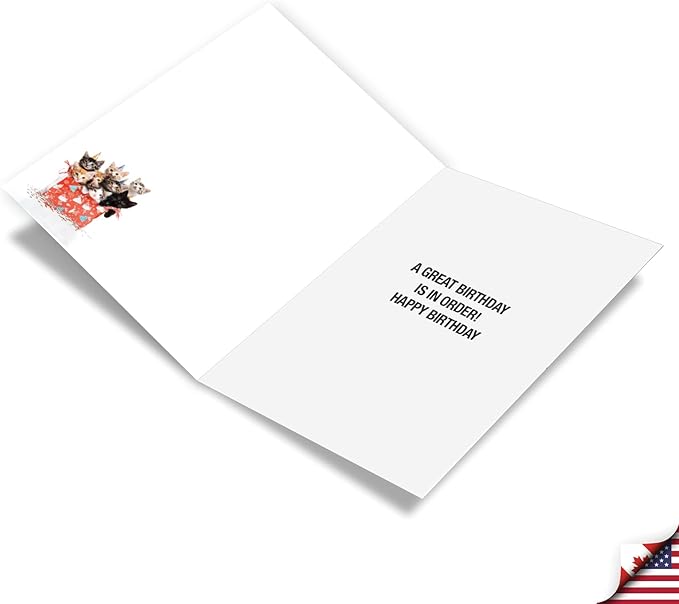 NobleWorks - 1 Funny Birthday Greeting Card w/ 5 x 7 Envelope For Men, Women - Bday Single Cat Lady C8469BDG