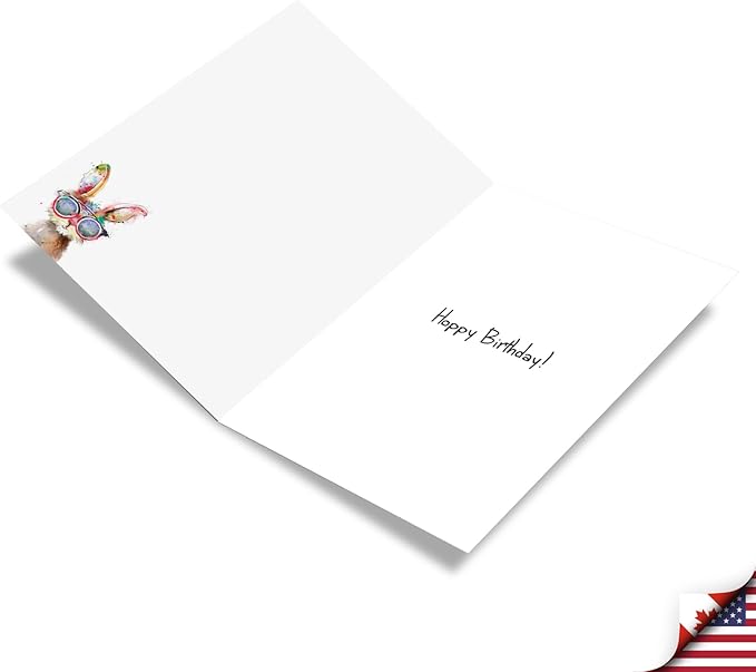 NobleWorks - Funny Birthday Greeting Card with 5 x 7 Inch Envelope (1 Card) Bday Sassy Animals - Rabbit C8850ABDG