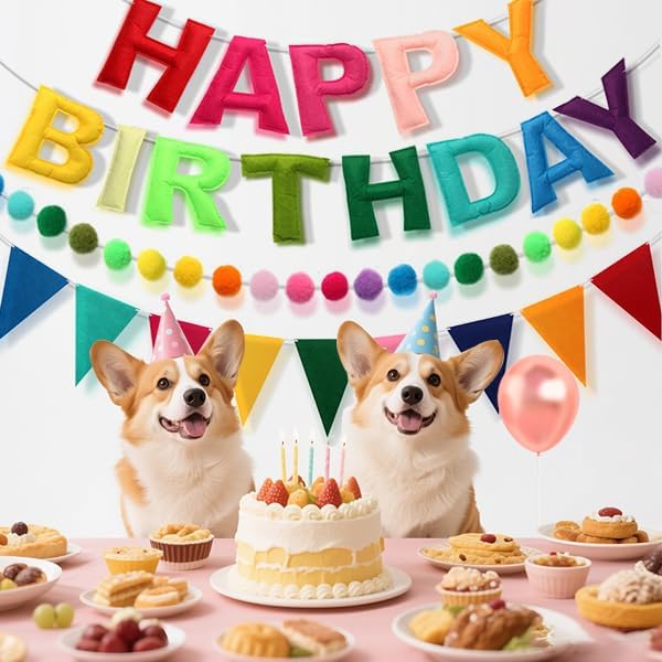 Pre-Strung Happy Birthday Banner,3D Effect Rainbow Birthday Party Decorations with Felt Garland, Pom Pom Garland, Felt Triangular Flag,Reusable Party Supplies for Kids Adults & Pets