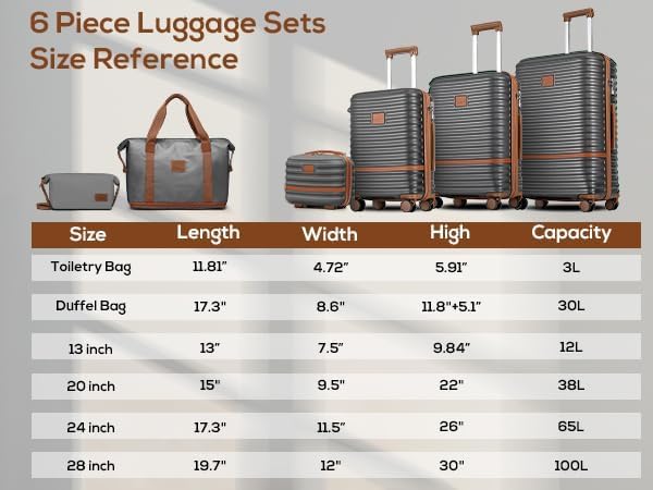 Joyway Luggage Set 3 Piece Suitcase Sets with Spinner Wheel,Hardside Expandable Travel Laggage with TSA Lock (20/24/28,Grey)