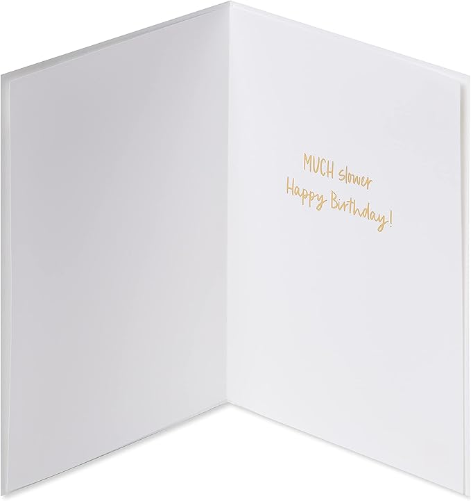 Papyrus Funny Birthday Card (Much Slower)