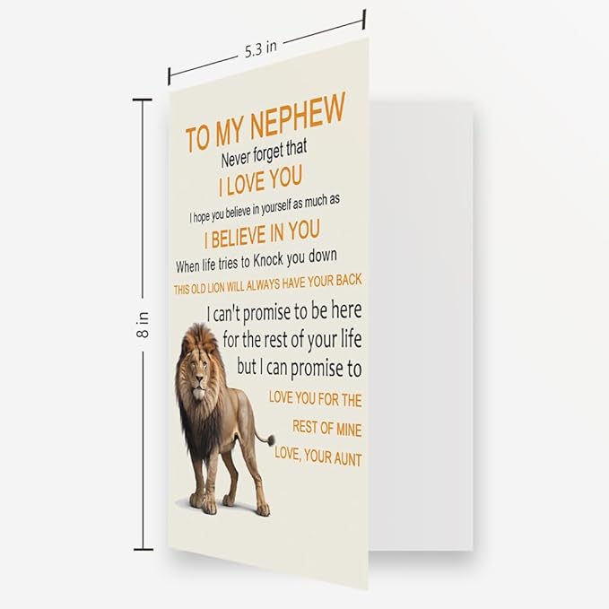 OJsensai Cute Birthday Card for Nephew, Best Gifts from Auntie, Happy Birthday for Nephew from Aunt