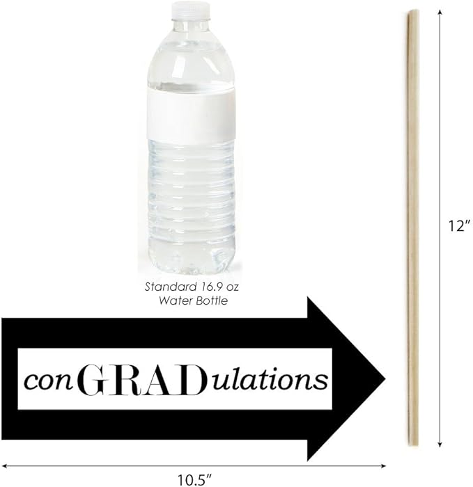 Big Dot of Happiness Funny Graduation Cheers - Photo Booth Props Kit, Celebration Decoration for Graduation Parties, Black & White Display, Grad Decor - 10 Piece