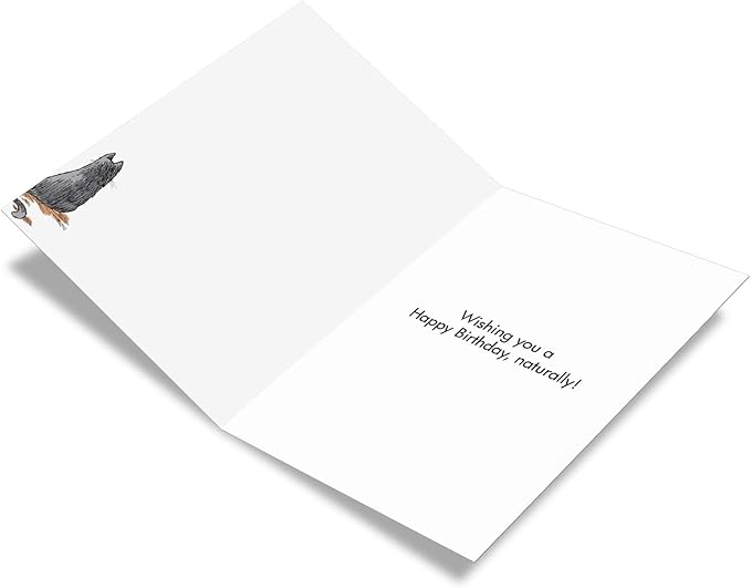NobleWorks - 1 Humor Birthday Card with Envelope - Funny Cartoons for Birthday Greetings, Celebration Notecard - Hole Foods C2684BDG