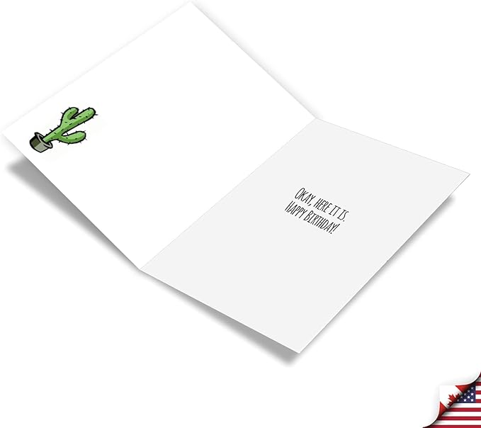 NobleWorks Hilarious Birthday Greeting Card with 5 x 7 Inch Envelope (1 Card) BdayBiggest Prick C10282BDG