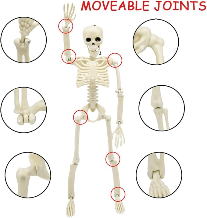 6 Packs Halloween Skeletons, 16 Inch Posable Skeletons Halloween Decorations with Movable Posable Joints, Full Body Mini Plastic Skeleton for Yard Garden Lawn Haunted House Graveyard Props Decor