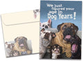 Tree-Free Greetings - Birthday Card - Artful Designs - 1 Card + Matching Envelope - Made in USA - 100% Recycled Paper - 5 x 7 - Dog Years (GO61211)
