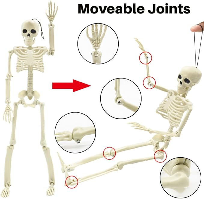 4 Packs Posable Halloween Skeleton, Full Body Skeleton Decoration Movable Posable Joints Skeletons, Scary Plastic Skeleton Halloween Skull Decor for Yard Garden Lawn Haunted House Graveyard Props