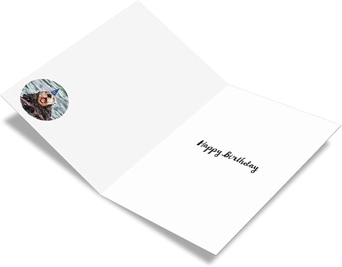 NobleWorks - 1 Happy Birthday Card with Funny Animals - Wildlife and Pet Humor, Fun Birthday Celebration Notecard - Otterly Awesome B C6574BBDG