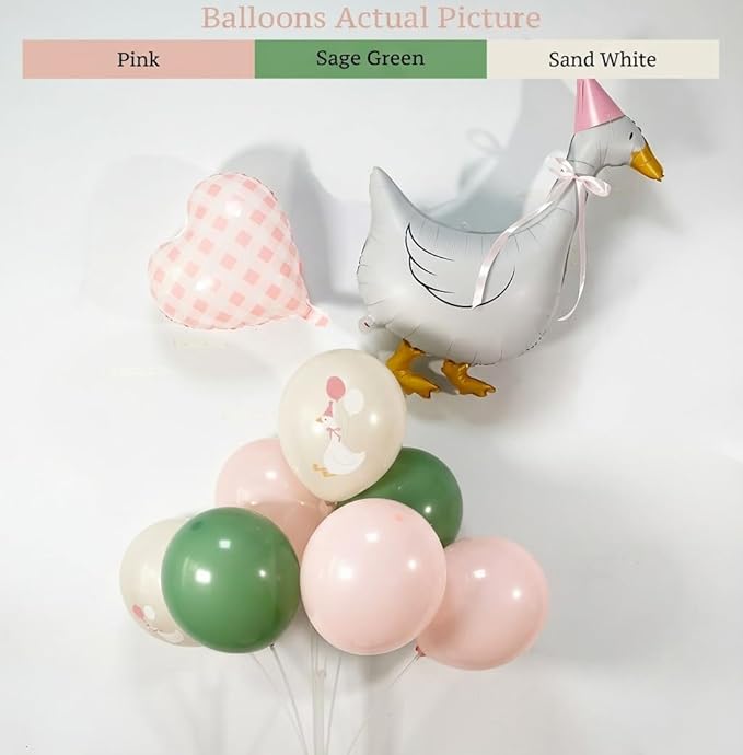 One Silly Goose Birthday Decorations Girl – Goose Balloons with Pink Printed Latex Balloons, Pink Bow & Hats, Cute Baby Girl 1st Birthday Party Supplies