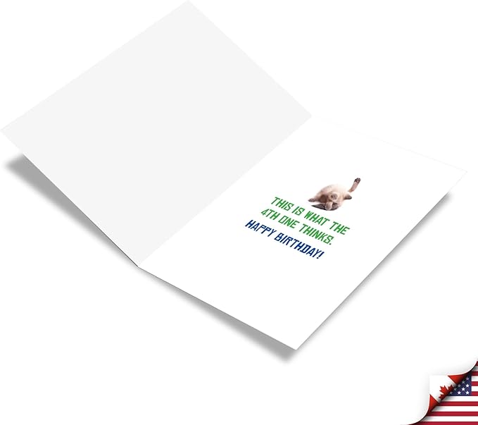 NobleWorks - 1 Happy Birthday Card with Funny Animals - Wildlife and Pet Humor, Fun Birthday Celebration Notecard - Excited Cats C3525BDG