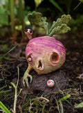Halloween Vegetable Zombie Statue,Realistic Carrot Potato Zombie Garden Sculpture,Halloween Garden Decor,Outdoor Decorations for Patio Yard Walking Dead Zombie Gnome Graveyard Décor (Radish（A）)