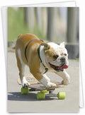 NobleWorks - Birthday Greeting Card with 5 x 7 Inch Envelope (1 Card), Fun Animal Bday Celebration - Skating Bulldogs - Green Wheels C9517EBDG