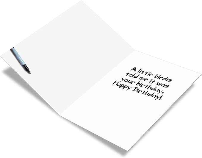 NobleWorks - 1 Happy Birthday Card with Funny Animals - Wildlife and Pet Humor, Fun Birthday Celebration Notecard - Empty Bird Feeder C2561BDG