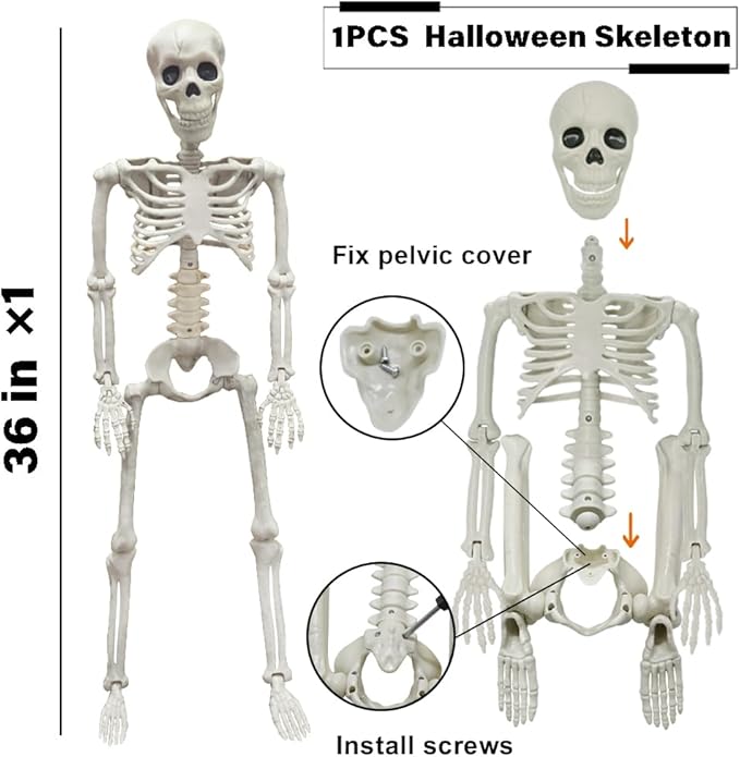 36" Skeleton Halloween Decorations, 3FT Realistic Full Body Movable Posable Joints Skeleton, Creepy Halloween Plastic Skeleton for Graveyard Decorations, Haunted House Props Indoor/Outdoor Decor