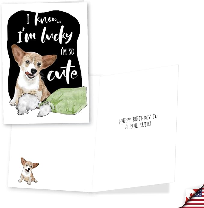 NobleWorks, Assortment Pack of 3 Funny Birthday Greeting Cards with Envelopes (3 Designs, 1 Each) Dog Antics Party VC10796BDG-C1x3