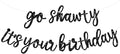 BEISHIDA Go Shawty It's Your Birthday Banner NO DIY Hip Hop Theme Happy Birthday Banner Pre-Strung Rap Theme Happy Birthday Sign for Man Women birthday Party Supply Glitter Black