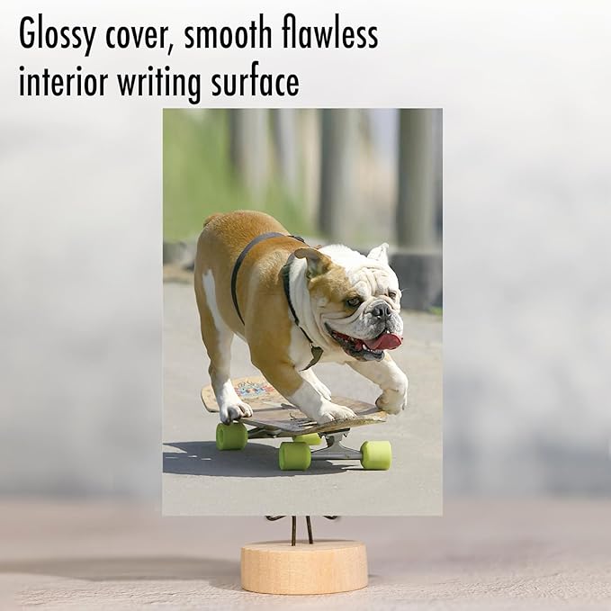 NobleWorks - Birthday Greeting Card with 5 x 7 Inch Envelope (1 Card), Fun Animal Bday Celebration - Skating Bulldogs - Green Wheels C9517EBDG