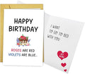 Qiliji Dirty Birthday Card for Husband Wife, Funny Poem Birthday Card for Men Women, Naughty Birthdays Cards for Girlfriend Boyfriend, Roses Are Red Violets Are Blue