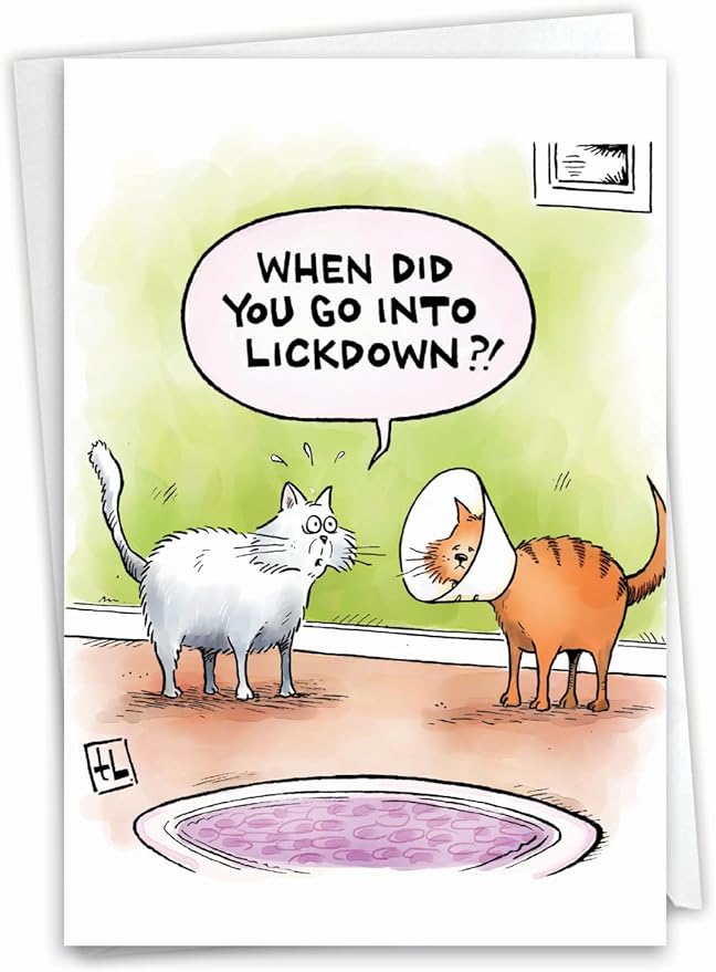 NobleWorks - 1 Awesome Birthday Greeting Card - Cartoon Art, Happy Funny Bday Note - Lickdown C2449BDG