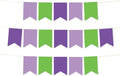 Andaz Press Hanging Pennant Banner with String, Lavender, Kiwi Green, Purple, 1-Set, 24 Pennants, Approx. 12-Feet Long, Tinkerbell Theme Colored Supplies