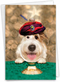 NobleWorks - 1 Happy Birthday Card with Funny Animals - Wildlife and Pet Humor, Fun Birthday Celebration Notecard - Dog Psychic C3210BDG