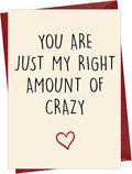 Cheerin Funny Anniversary Card with Envelopes - Humorous Love Cards for Him and Her - Romantic Card for Husband, Wife, Fiance, Boyfriend and Girlfriend - Hilarious Birthday Gift 5x8 Inch
