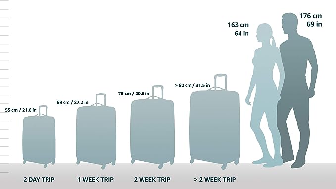 Rockland Melbourne Hardside Expandable Spinner Wheel Luggage, Carry-On 20", Carbon