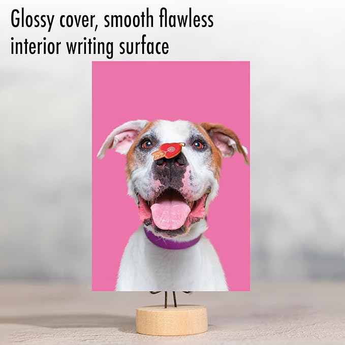 NobleWorks - Birthday Greeting Card with 5 x 7 Inch Envelope (1 Card), Fun Animal Bday Celebration - Heart Dogs C9161GBDG