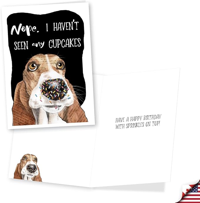 NobleWorks, Assortment Pack of 3 Funny Birthday Greeting Cards with Envelopes (3 Designs, 1 Each) Dog Antics Party VC10796BDG-C1x3