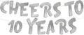 Pre-Strung Cheers to 10 Years Silver Glitter Banner - 10th Birthday and Anniversary Decorations for Boys and Girls - Party Supplies and Gifts