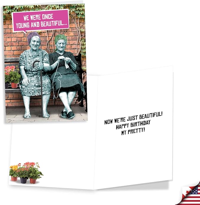 NobleWorks Assorted 3 Pack of Funny Women's Retro Birthday Greeting Cards with 5 x 7 Inch Envelopes (3 Designs, 1 Each) Old Friends VC2803BDG-C1x3
