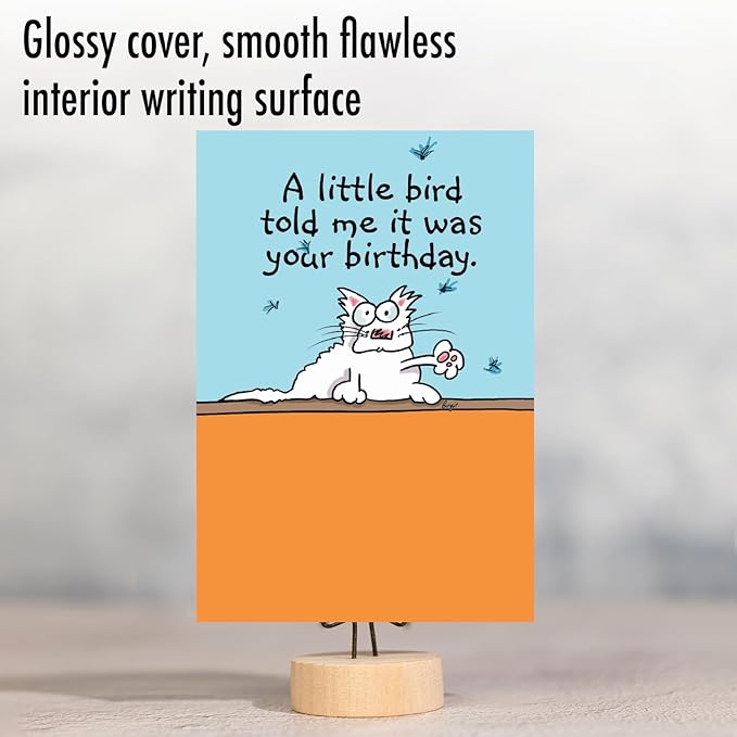 NobleWorks - 1 Awesome Birthday Greeting Card - Cartoon Art, Happy Funny Bday Note - Little Bird C9592BDG